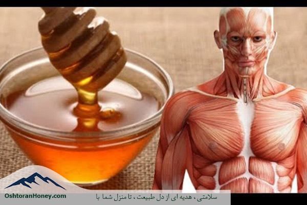 خواص عسل و درمان روماتیسم با عسل